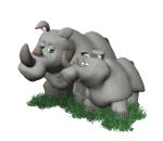 rhinoceros animéiert-biller-gif